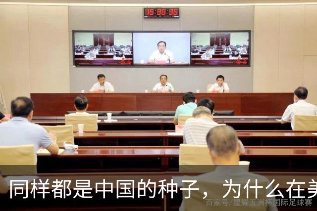 同样都是中国的种子,为什么在美国种出的水稻,亩产要比中国高?