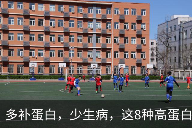 多补蛋白,少生病,这8种高蛋白换着吃,营养足身体舒坦不遭罪